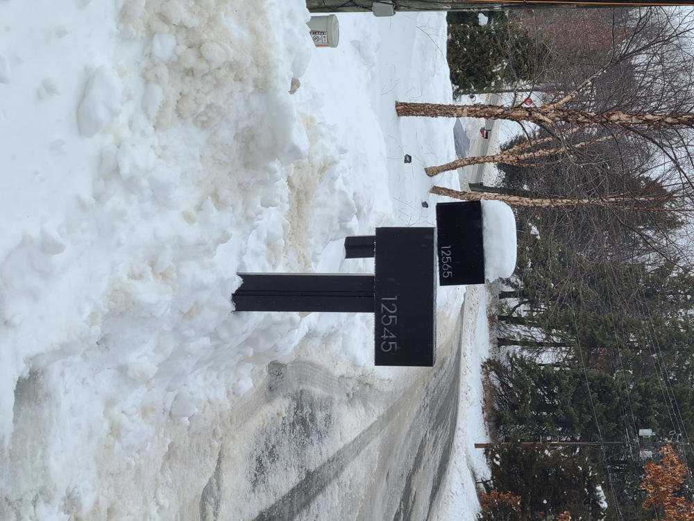 Waldo | Custom Mailbox - Customer Photo From Randall Klinger