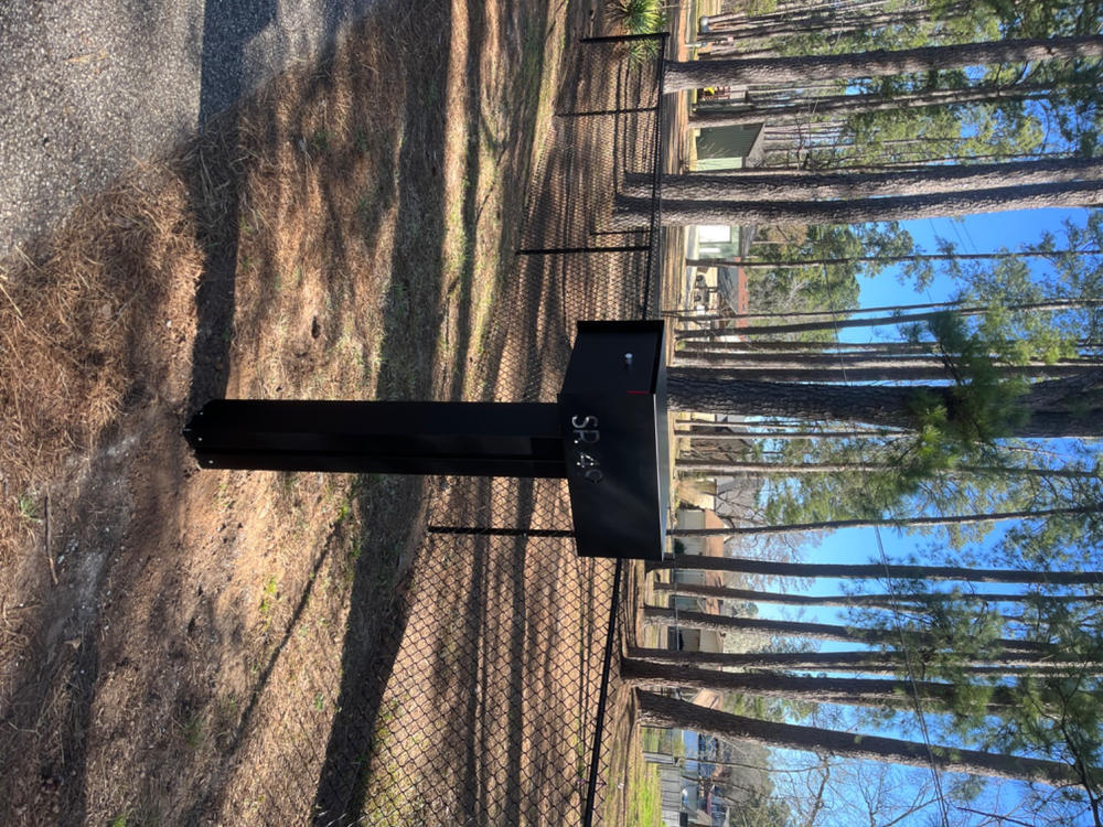 Waldo XL | Custom Mailbox - Customer Photo From Dallas Ward