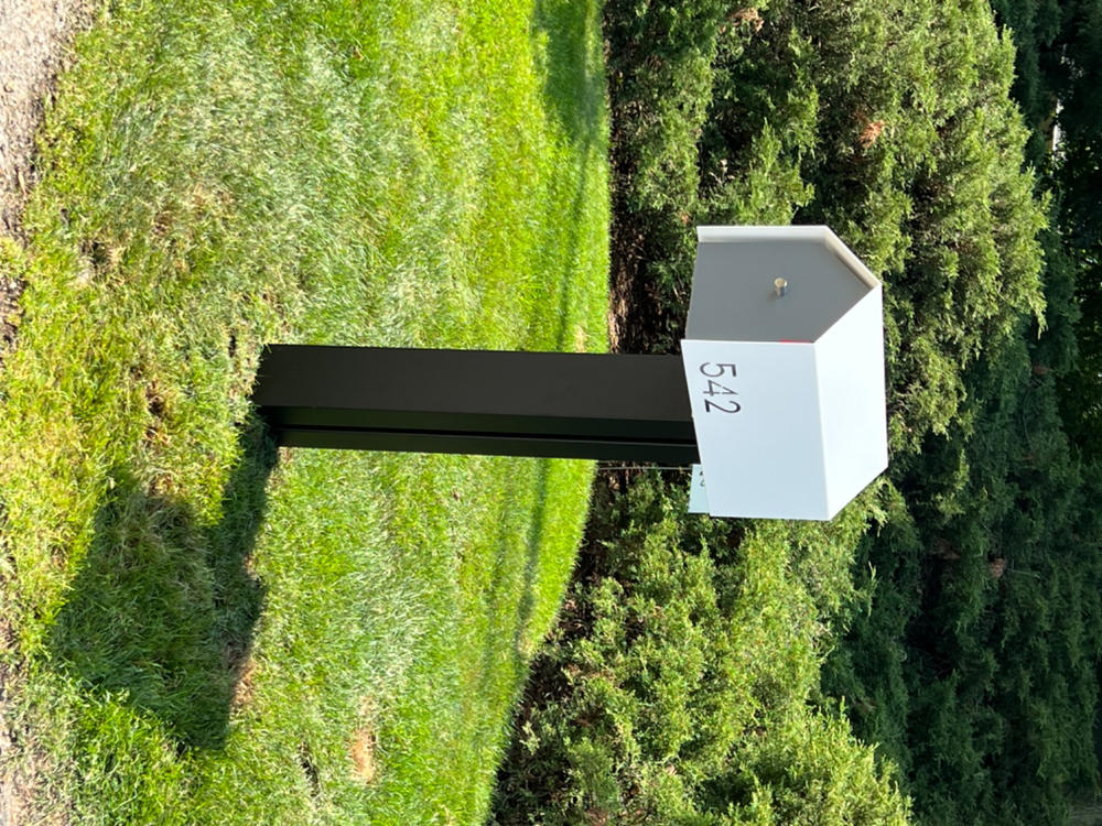 Bailey | Custom Mailbox - Customer Photo From Karen Z Franks