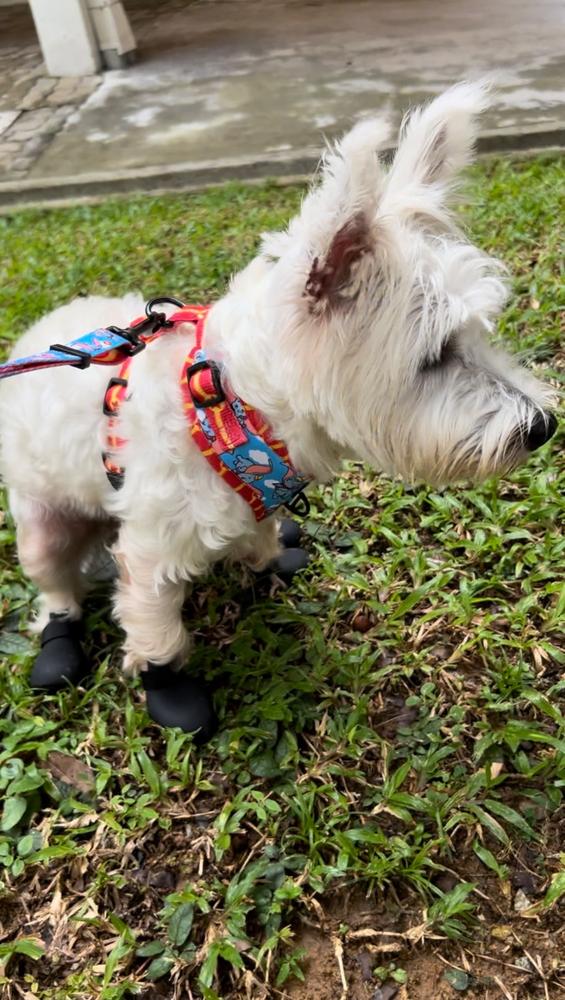 Westie rain sale boots