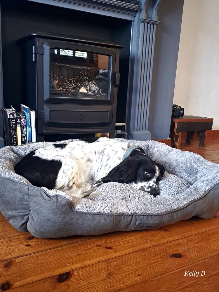 Cosy Soft-Walled Dog Bed - Grey - Customer Photo From Kelly Drever