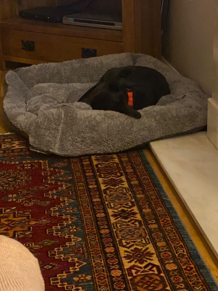 Cosy Soft-Walled Dog Bed - Grey - Customer Photo From Lynne Mears