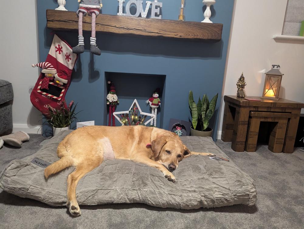 Oxford Orthopaedic Mattress - Silver - Customer Photo From SARAH FROST