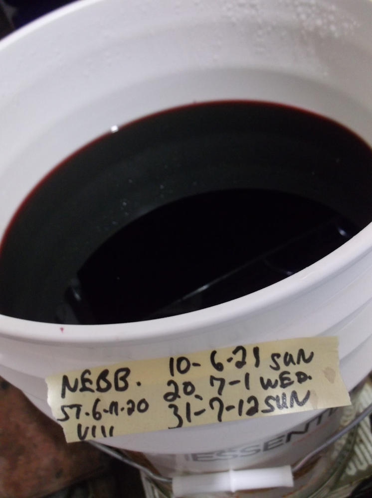 Nebbiolo | Light-Bodied Red Winemaking Kit (4.8 L | 162.3 oz) - Customer Photo From Richard Prose
