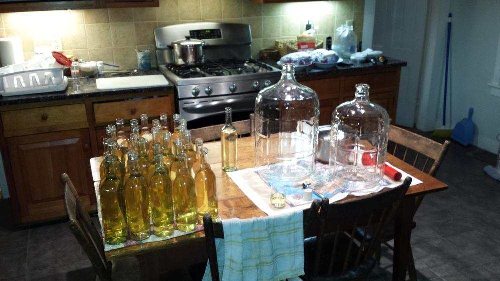 Pinot Grigio | Light-Bodied White Winemaking Kit (4.8 L | 162.3 oz) - Customer Photo From Christopher Creeger