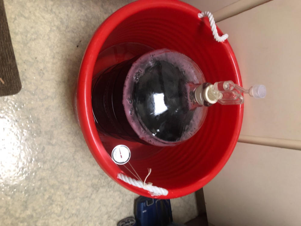 Pinot Noir | Medium-Bodied Red Winemaking Kit (5.2 L | 175.83 oz) - Customer Photo From Christopher Duron