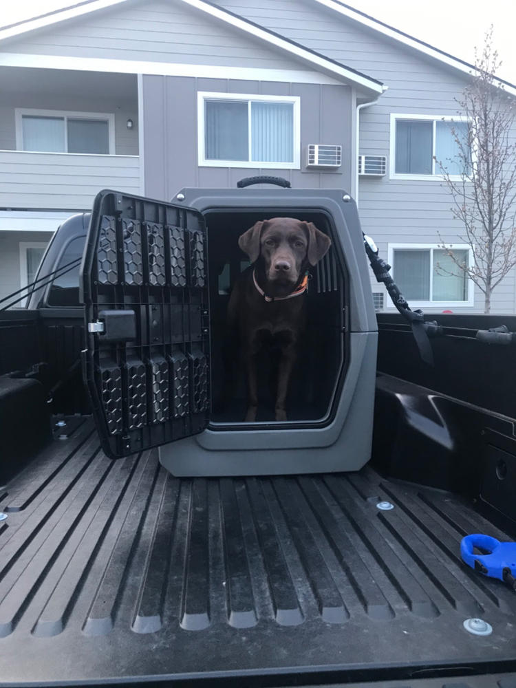G1™ Large Dog Crate The Safest K9 Kennels Gunner Kennels