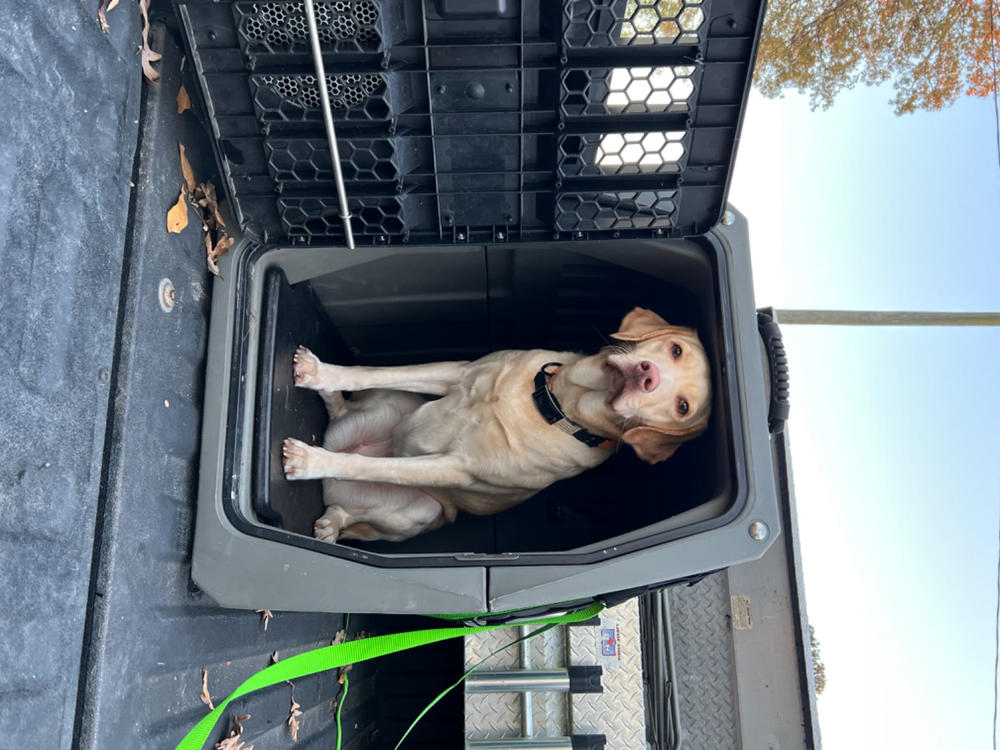 AllWeather Kennel Kit 2.0 Dog Crate Cover GUNNER