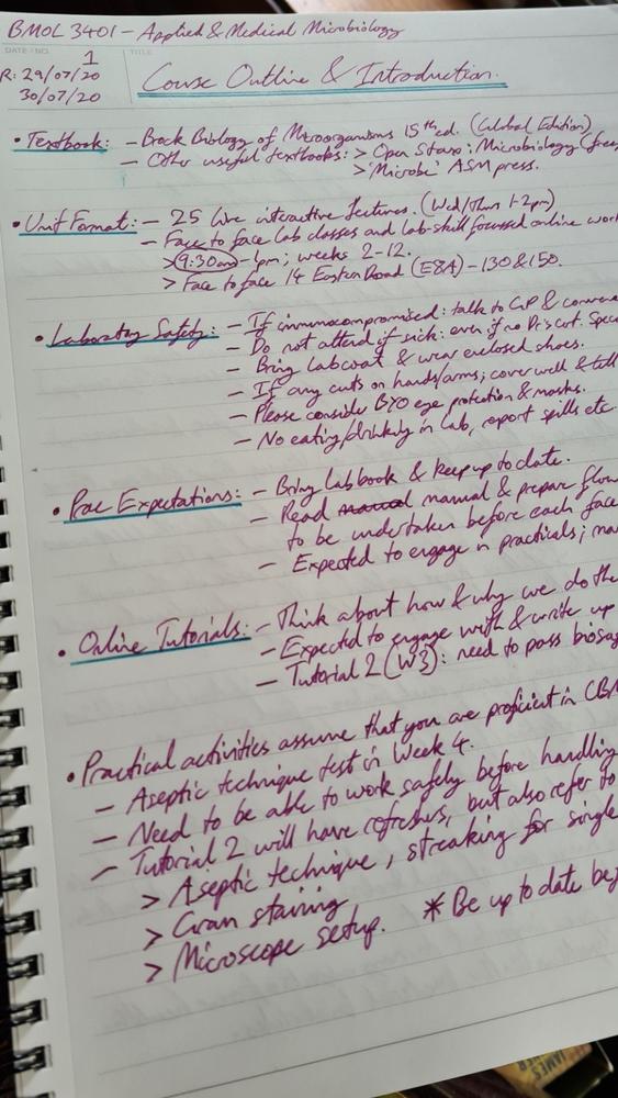 Maruman Mnemosyne N199 Special Memo Notebook - Ruled - A4 - Customer Photo From Andrew Blunsden