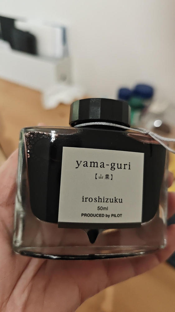 Pilot Iroshizuku Ink - 50 ml Bottle (Include 3 New Added 2025