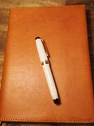 Bunbougu.com.au Sailor Fountain Pen Four Seasons Yukitsubaki - Winter Camellia - Medium Fine Nib Review