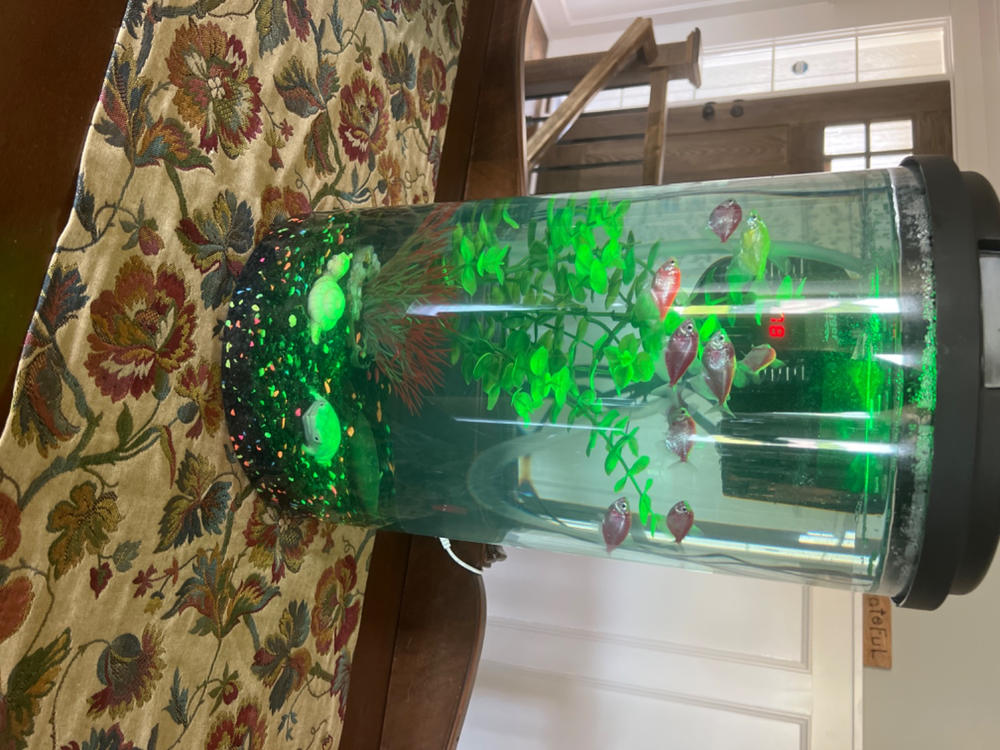 GloFish® Tetra Add-On Collections - Customer Photo From Brent Lasater