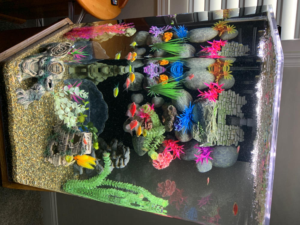 GloFish® Special Flake Food 1.59 oz - Customer Photo From Richard Marrero