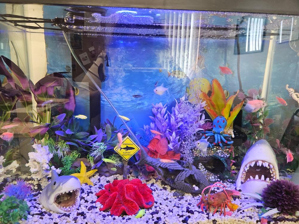 GloFish® Valentine Set (8ct) - Customer Photo From Jean Stapleton