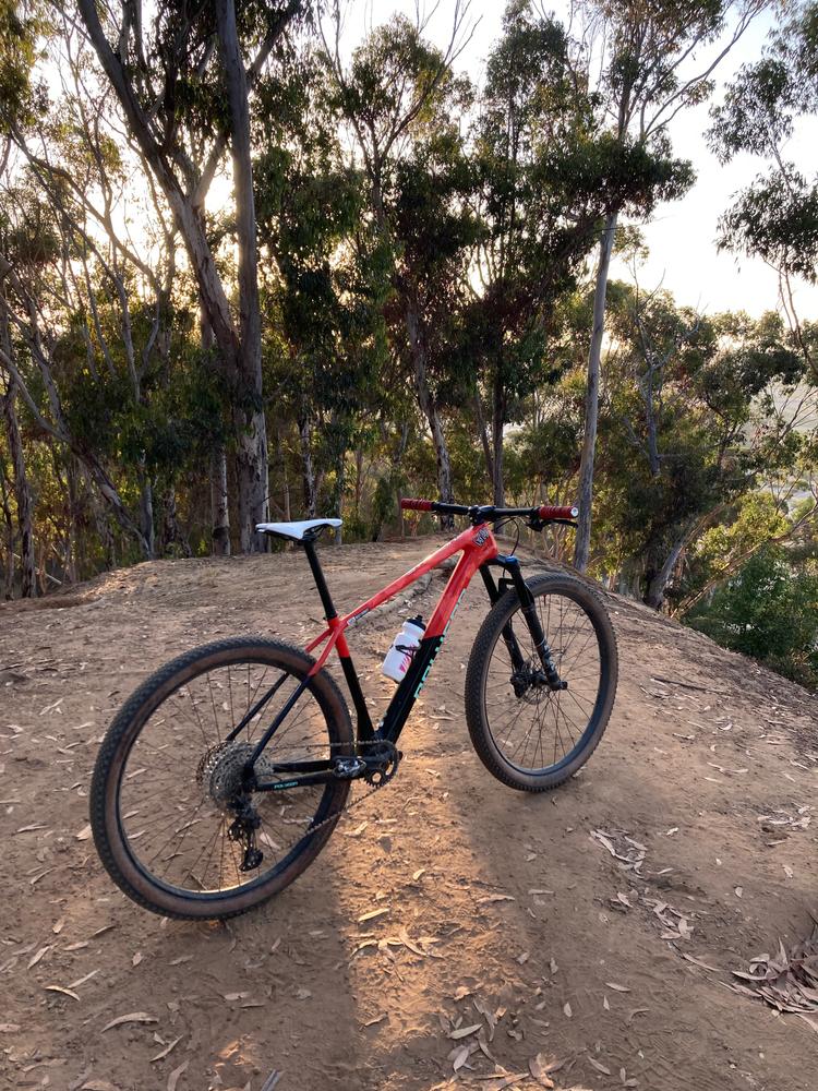 2024 Polygon Syncline C5 - Carbon XC Mountain Bike - Customer Photo From Riley E.