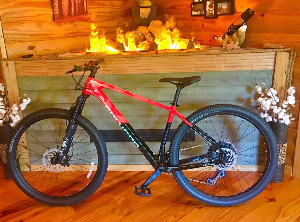 2024 Polygon Syncline C5 - Carbon XC Mountain Bike - Size: L - 29" wheel - Customer Photo From Brian Gray