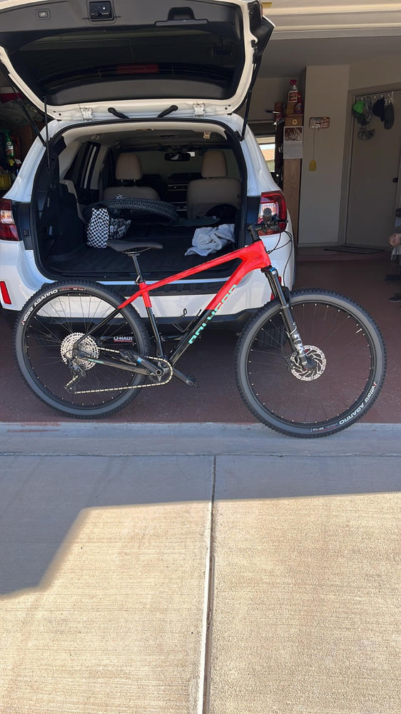 2023 Polygon Syncline C5 - Carbon XC Mountain Bike - Size: L - 29" wheel - Customer Photo From Ramon Aponte