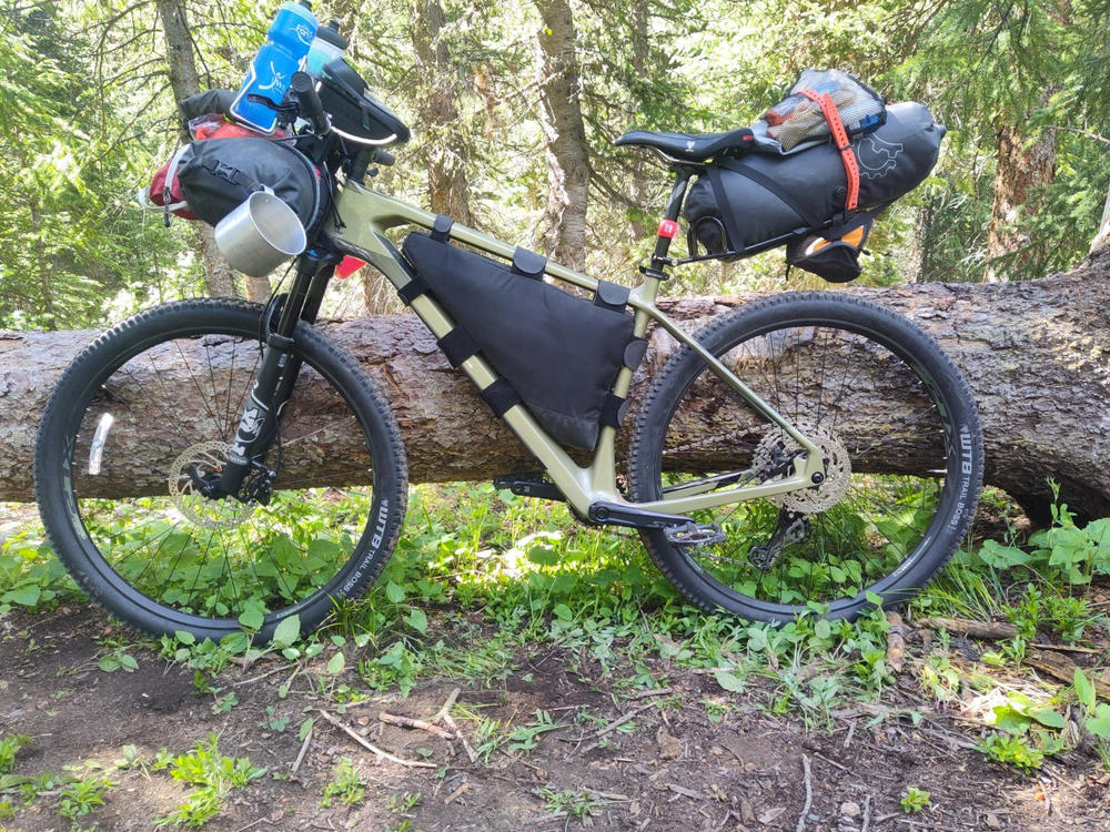 2021 Polygon Syncline C5 - Carbon XC Mountain Bike - Customer Photo From Mark Laken