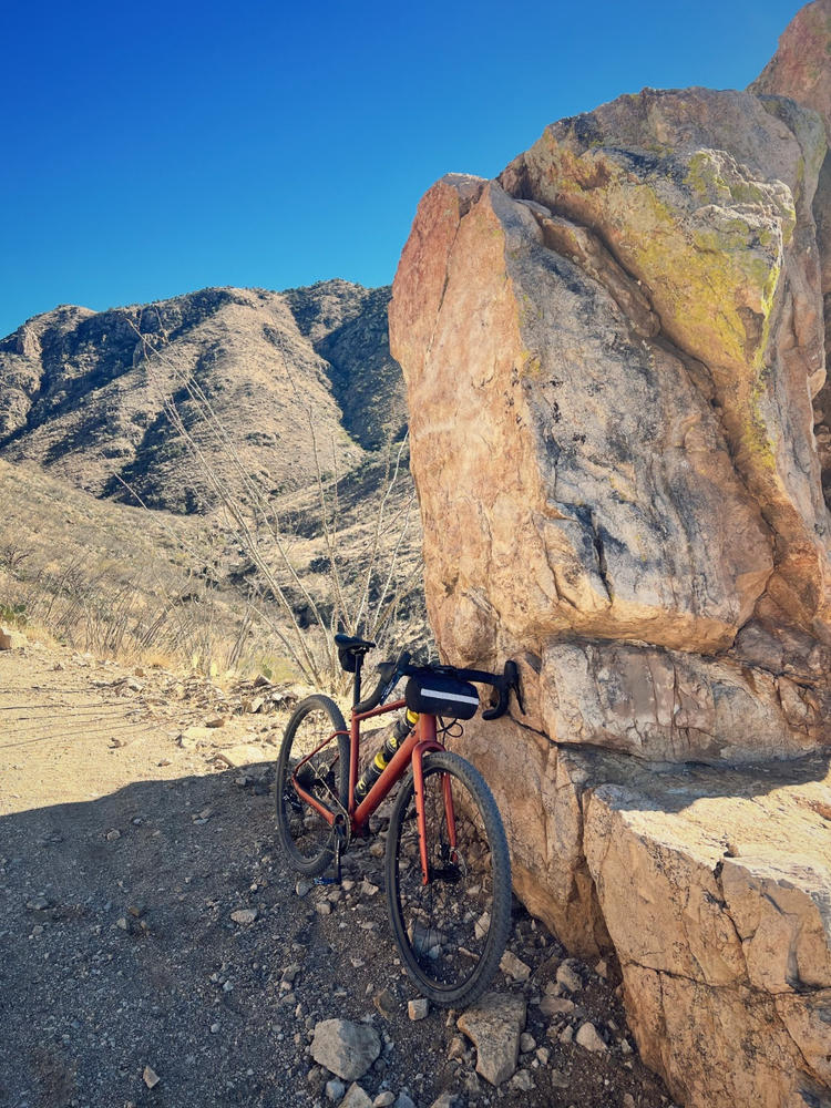 2024 Polygon Bend R7 - Gravel Bike [Size: M (height: 5
