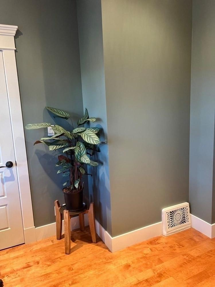 Four Room Package - Customer Photo From Jalyn Graham