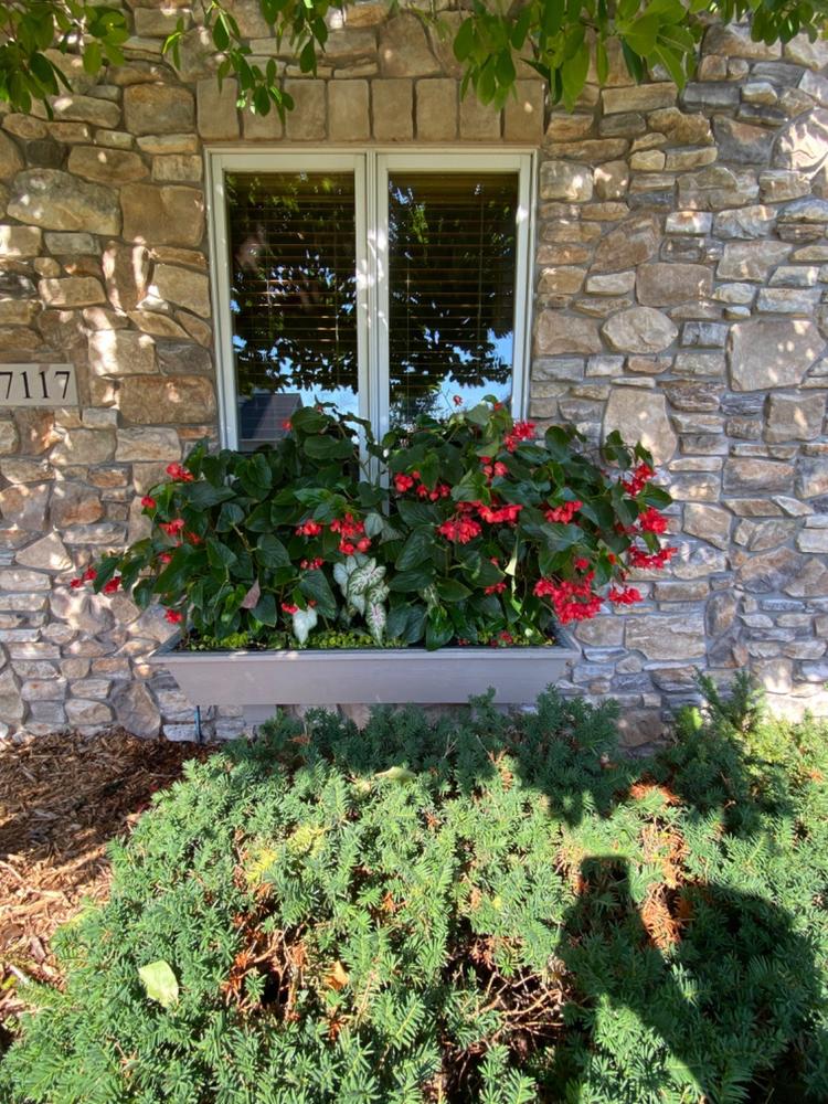 Exterior Main Body Package - Customer Photo From Patricia Studsrud