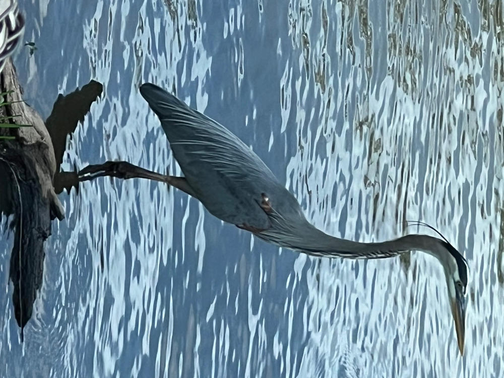 Restoring Eye Cream for Men - Customer Photo From Kevin love