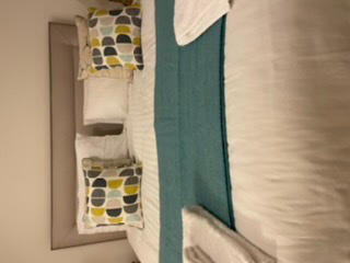 Turquoise Herringbone Wool Blanket - Customer Photo From Cassandra Rawlings