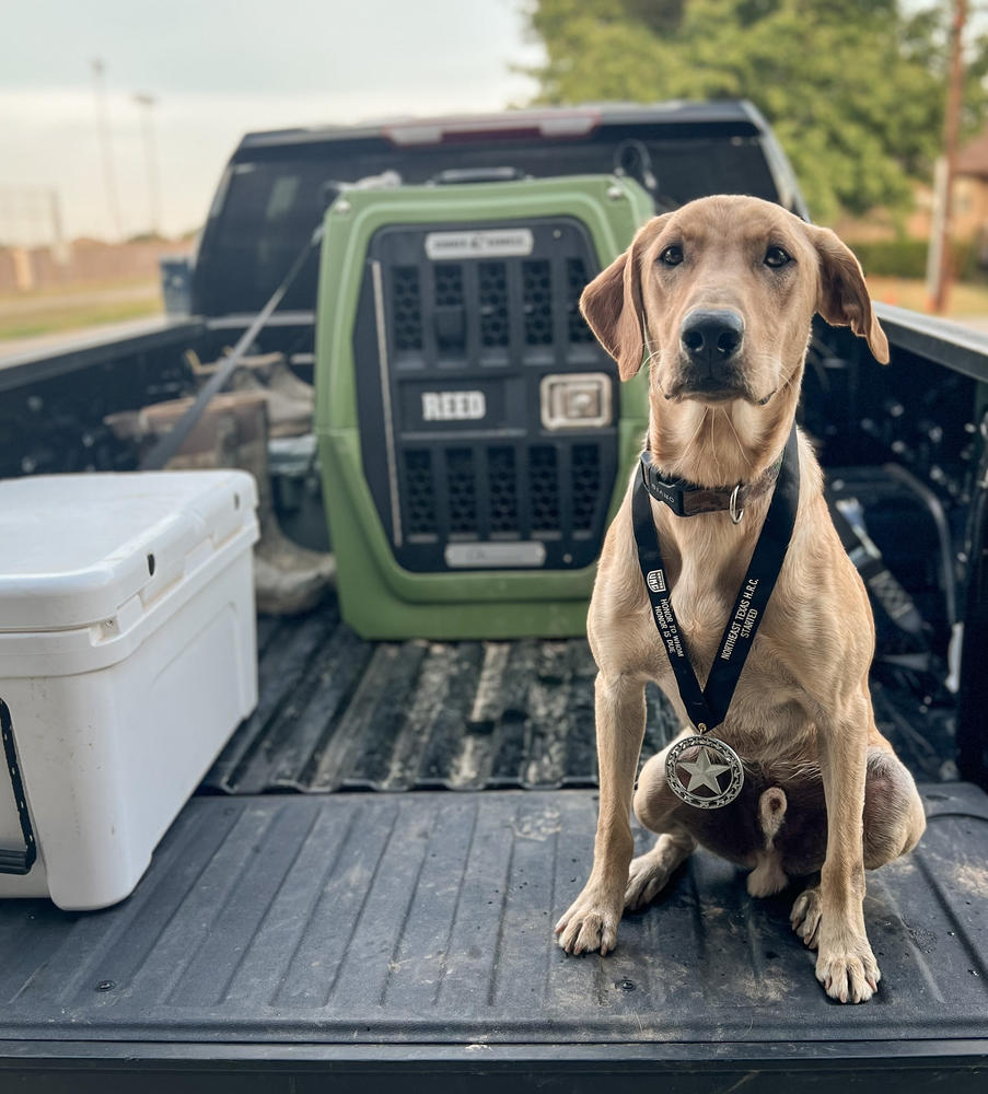 Balance Probiotic For Dogs - Customer Photo From Joshua Pierson 