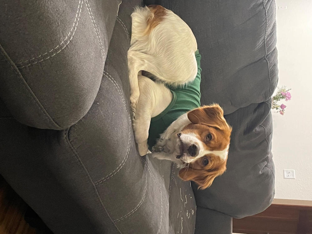 Balance Probiotic For Dogs - Customer Photo From Kevin Hartman