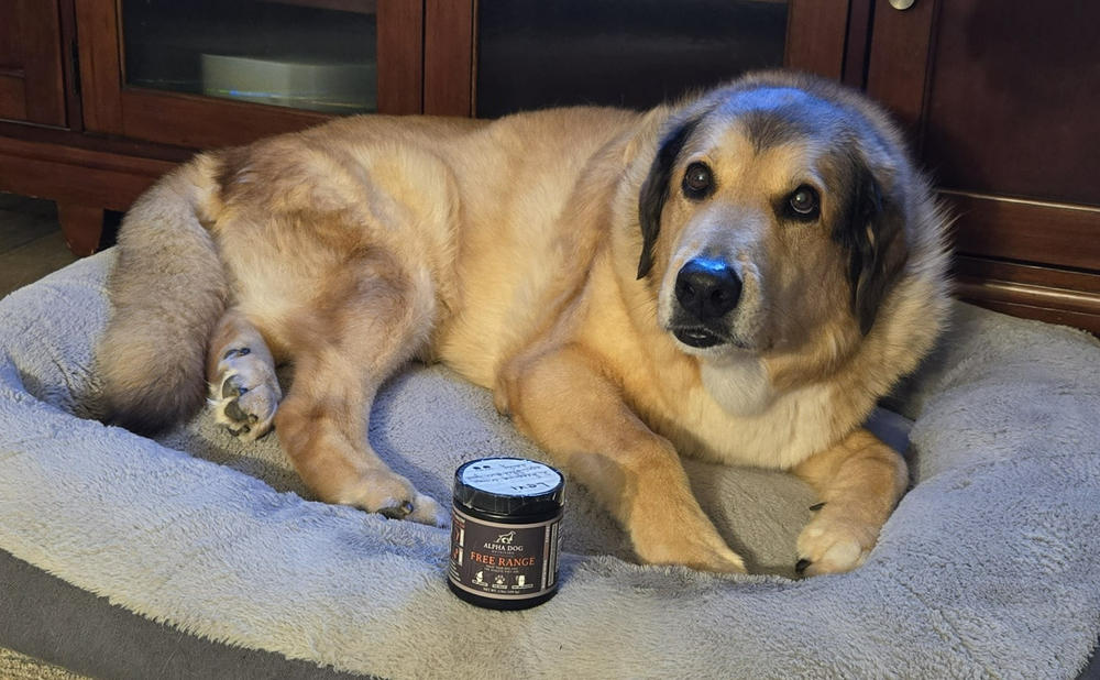 Free Range Joint Supplement For Dogs - Customer Photo From Bev Volk