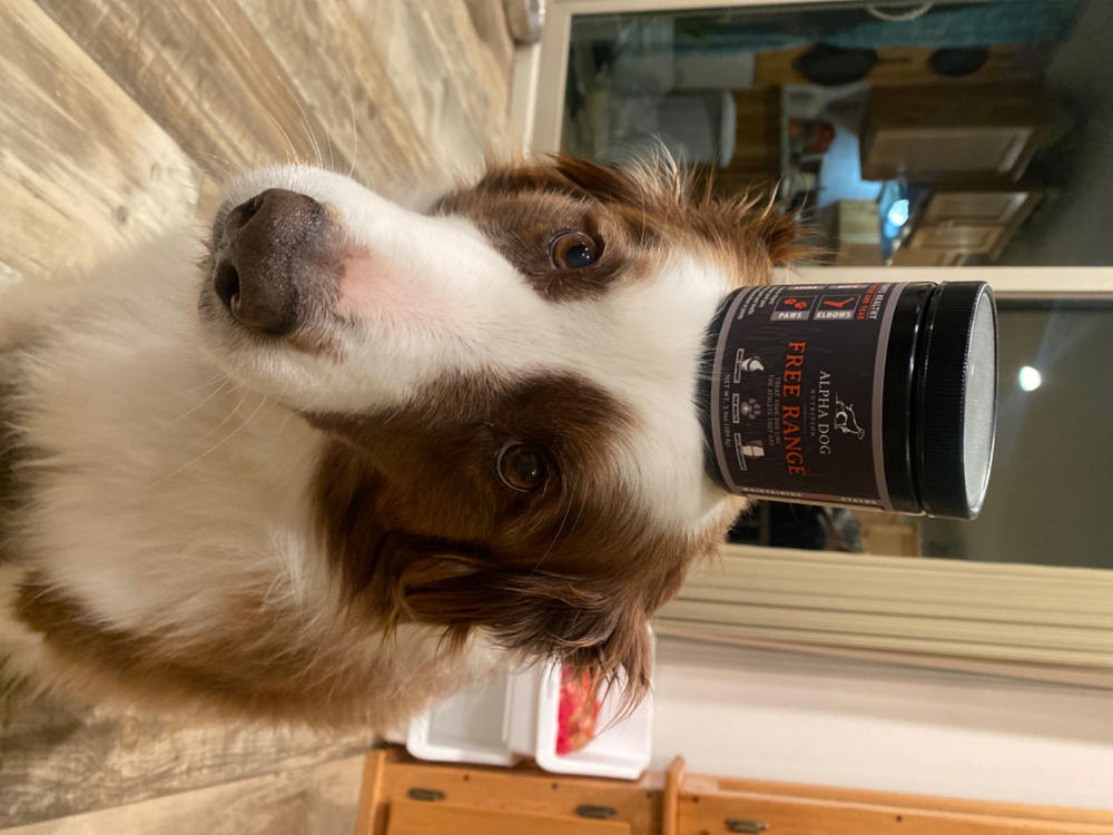 Free Range Joint Supplement For Dogs - Customer Photo From Jenna Zajec