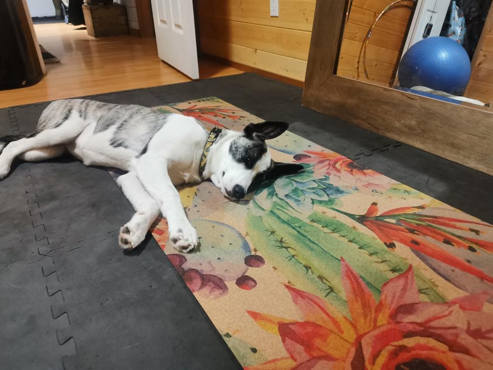 Botanicals Cork Yoga Mat | 4.5MM - Customer Photo From Emma Garson