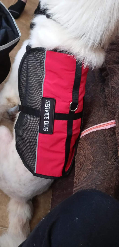 Service Dog Light Weight Mesh Vest Deluxe Registration Package - Customer Photo From Adrianna Bailey