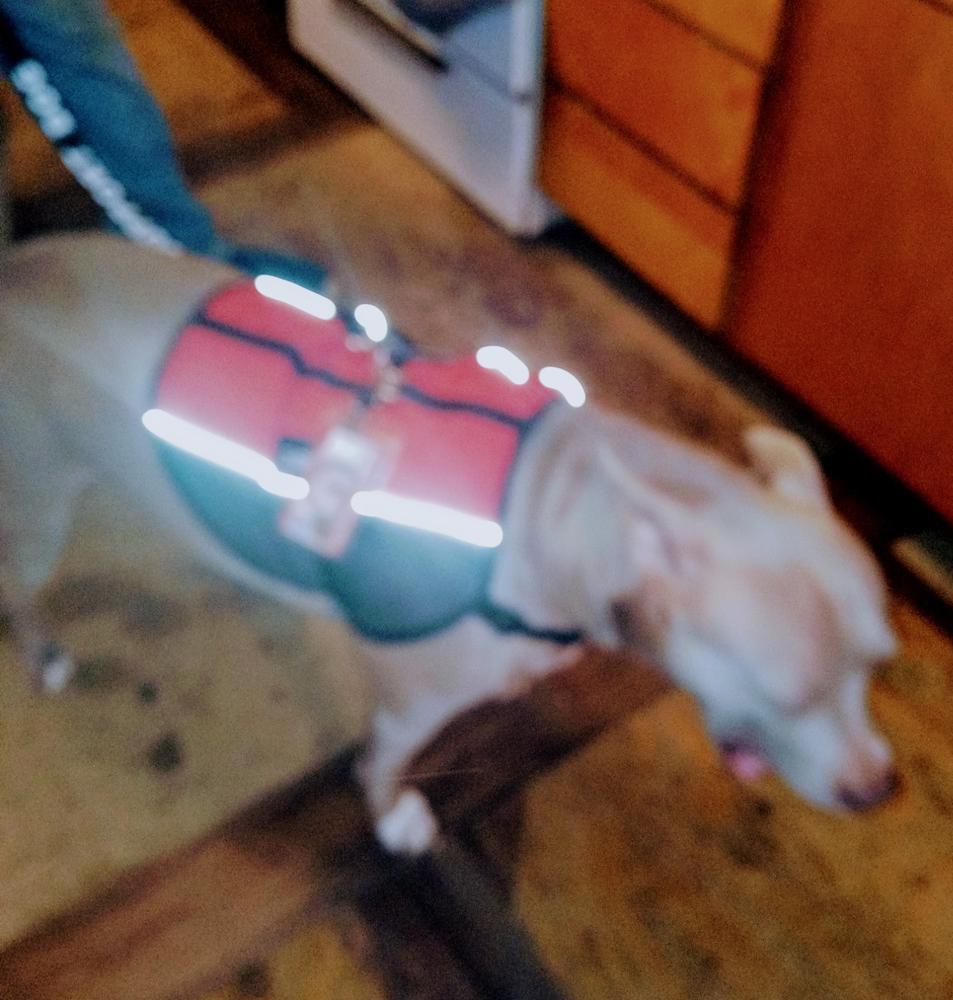 Emotional Support Animal Lightweight Mesh Deluxe Registration Package - Customer Photo From Frances White