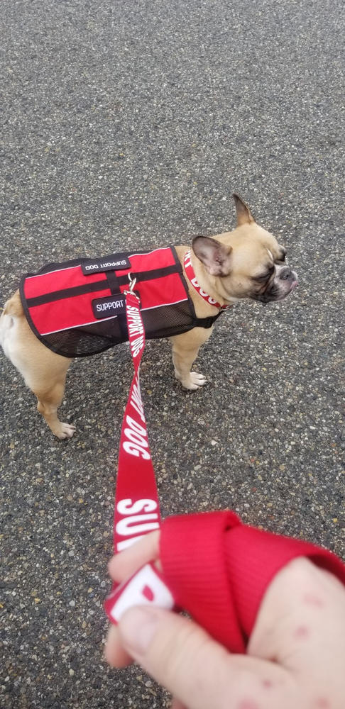 Emotional Support Animal Lightweight Mesh Deluxe Registration Package - Customer Photo From Nicole S.