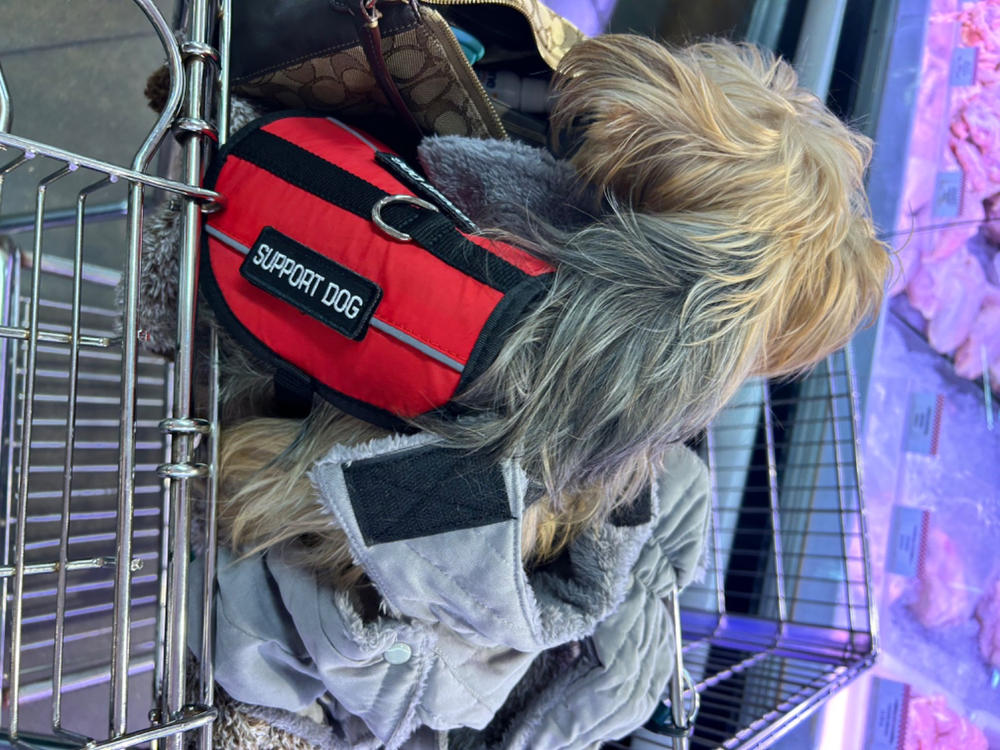 Emotional Support Animal Lightweight Mesh Vest - Customer Photo From Susan Rusch