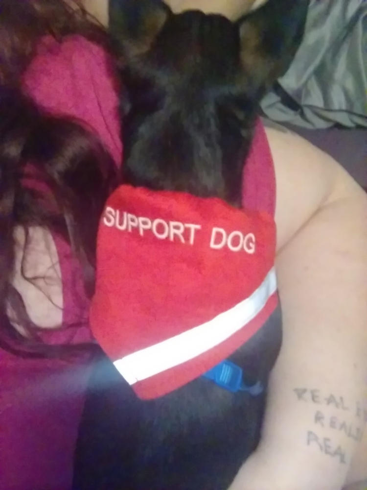 Support Dog Scarf & Collar - Customer Photo From Shawn Wanamaker
