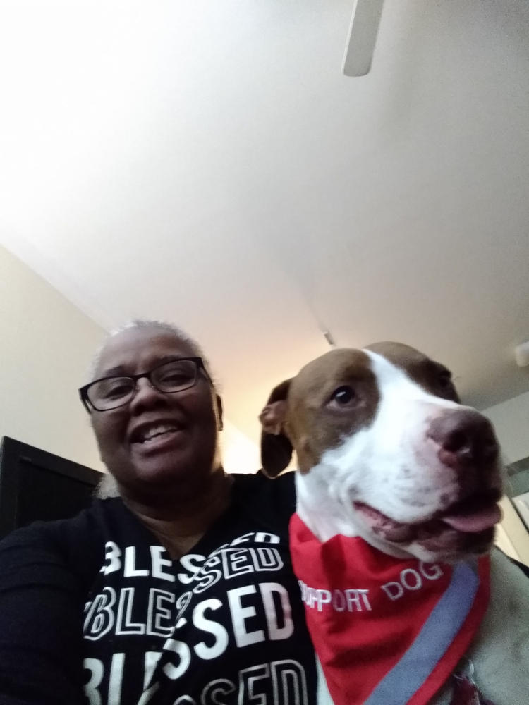 Support Dog Scarf & Collar - Customer Photo From Crystal Tate