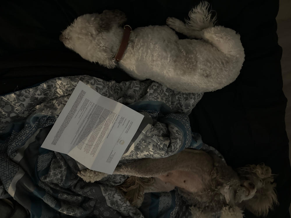 Psychiatric Service Dog Housing Letter - Customer Photo From Elizabeth Peters