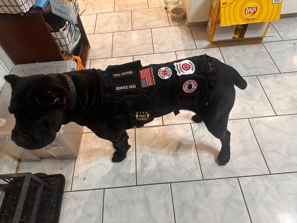 Yes I Need Psychiatric Service Dog Recommendation Letter for Housing/Travel - Customer Photo From Carroll Pellegrin