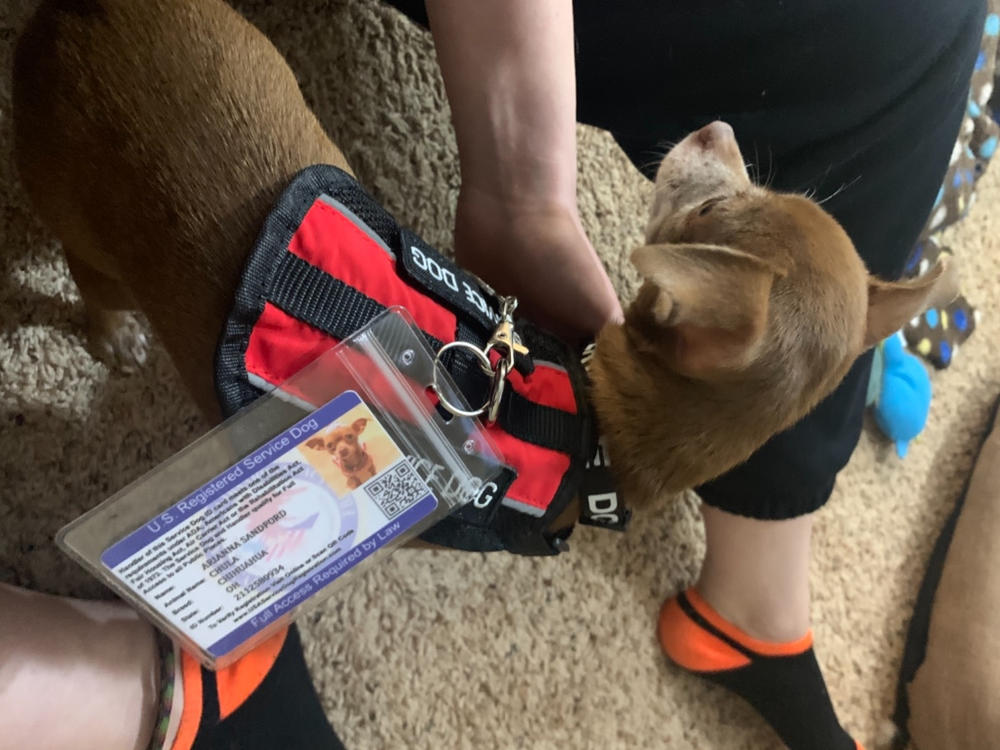 Emotional Support Animal Letter Housing/Travel Package - Customer Photo From Arianna Sandford