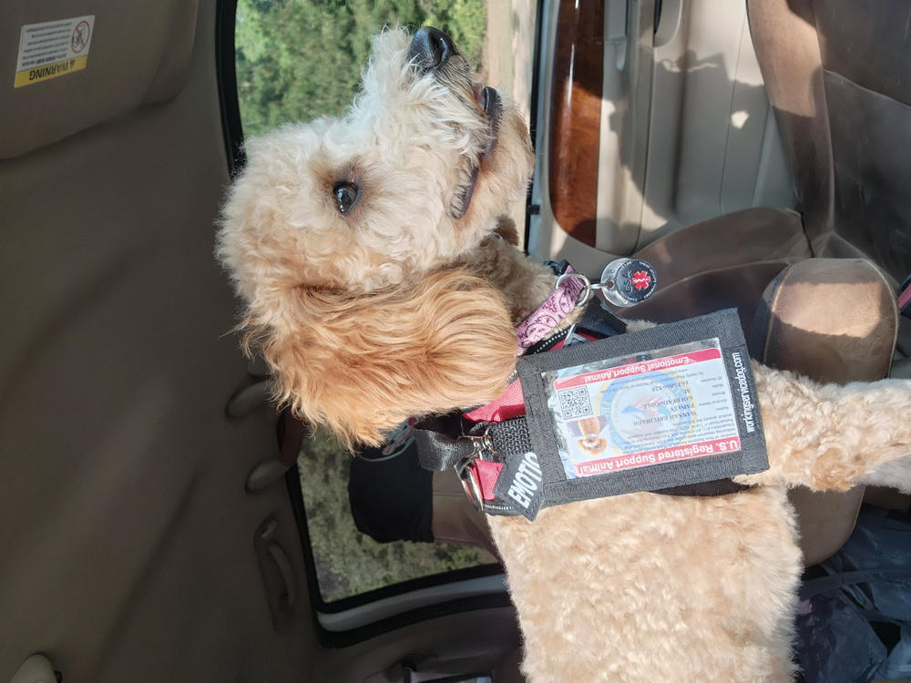 Emotional Support Animal ID Card - Customer Photo From Hannah Batchelor