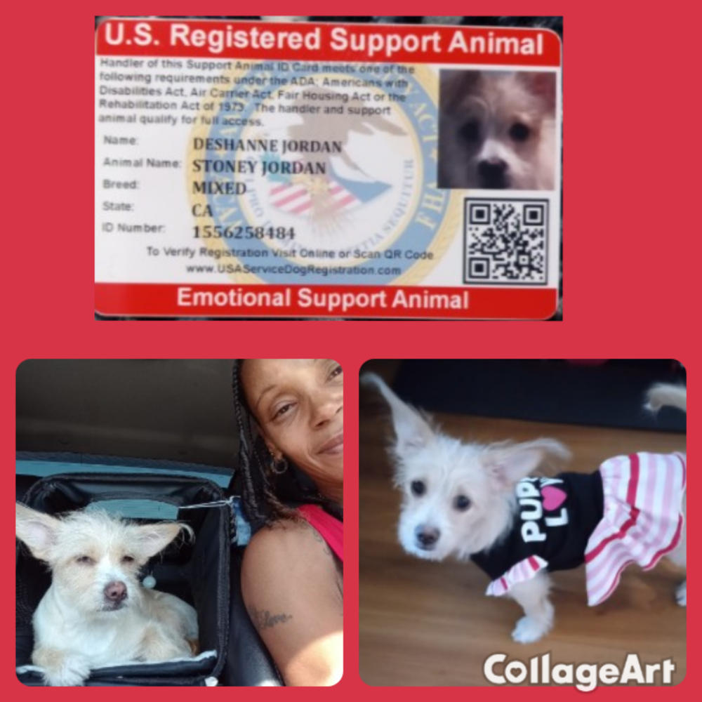 Emotional Support Animal ID Card - Customer Photo From Deshanne Jordan