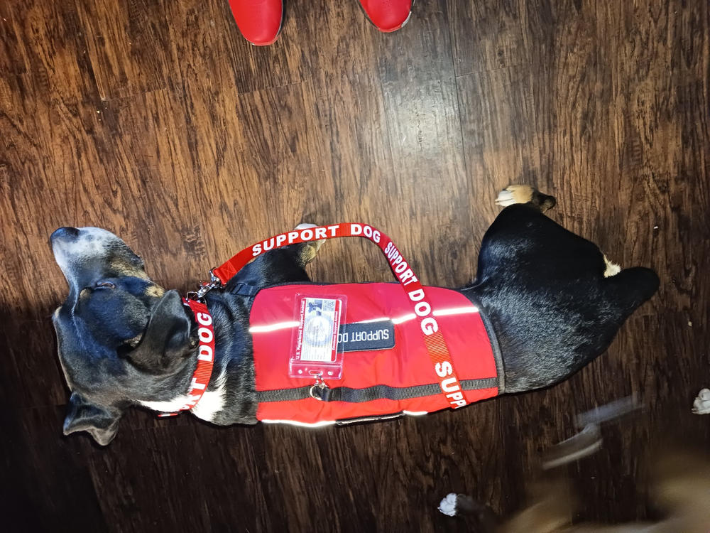 Emotional Support Animal Deluxe Registration Package - Customer Photo From Benjamin Flanagan