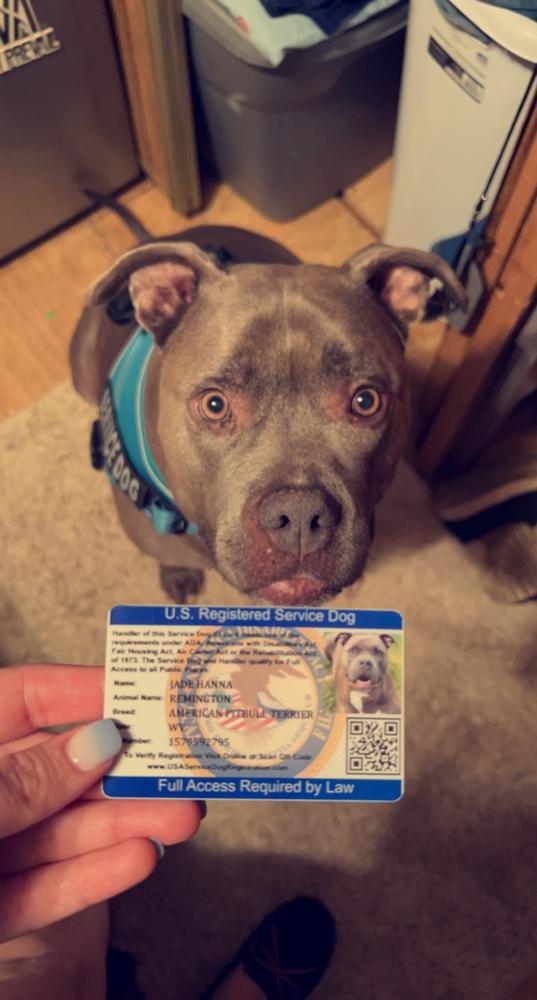 Service Dog ID Card USA Service Animal Registration