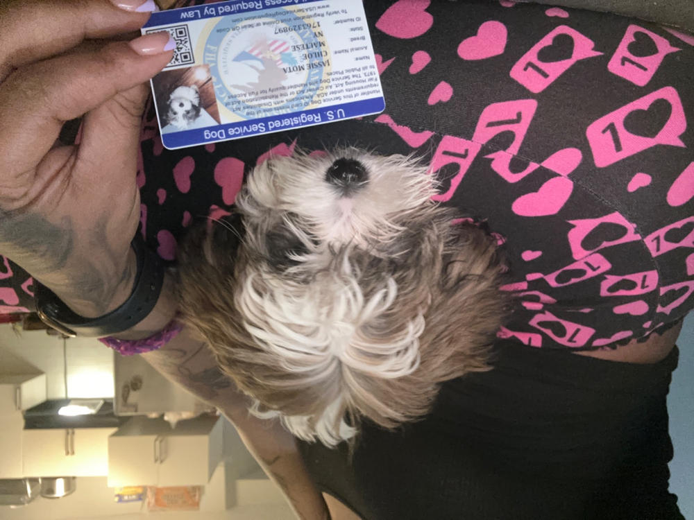 Service Dog ID Card - Customer Photo From Jassie Mota