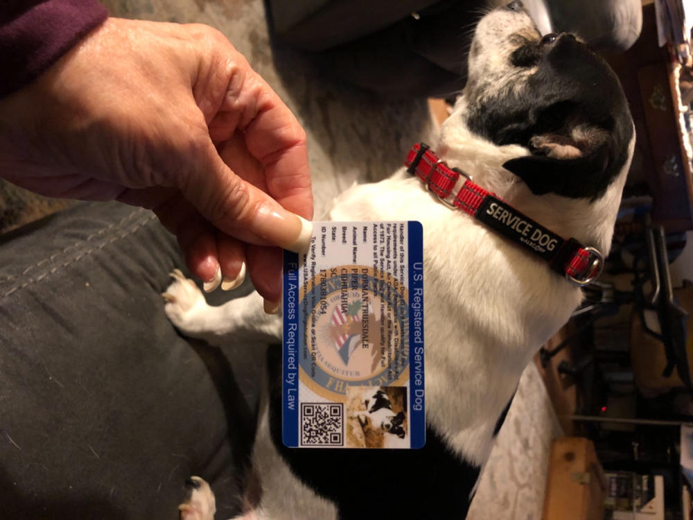 Service Dog ID Card USA Service Animal Registration