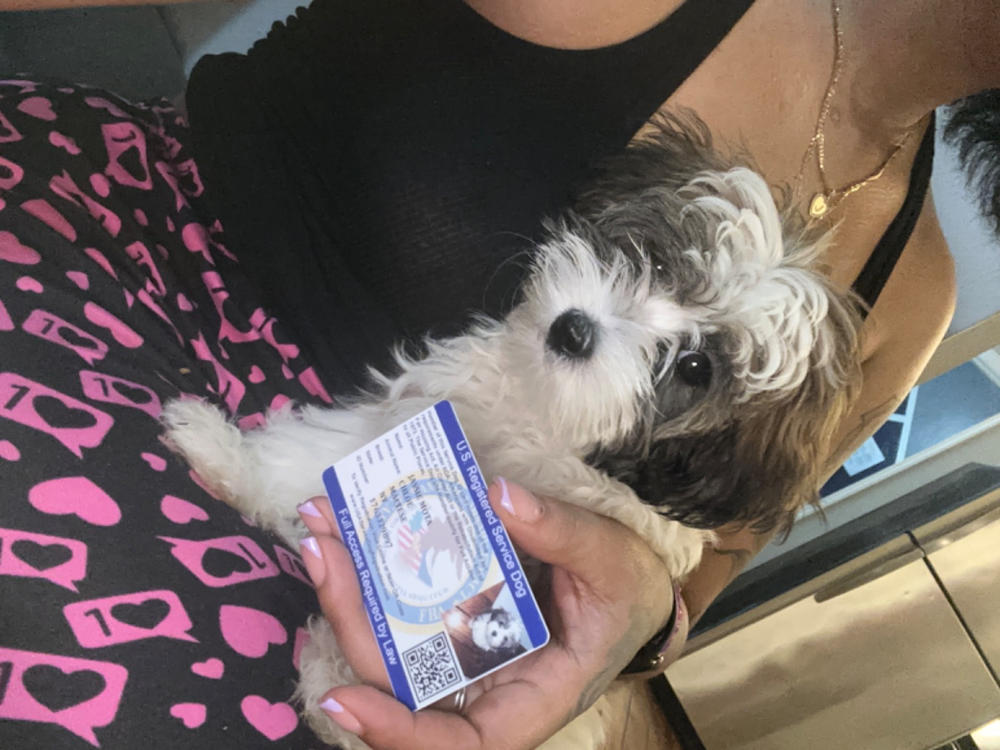 Service Dog ID Card - Customer Photo From Jassie Mota