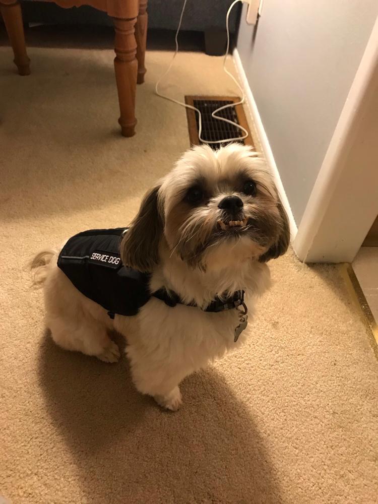 Service Dog Vest - Customer Photo From Brittany Lentz