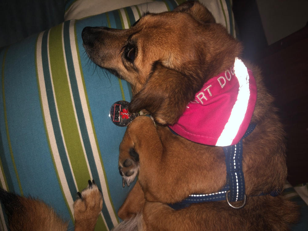 Emotional Support Animal ID Package Includes ID Card, Tag & Digital Certificate - Customer Photo From Seth Wright